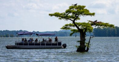how fast can pontoon boats go